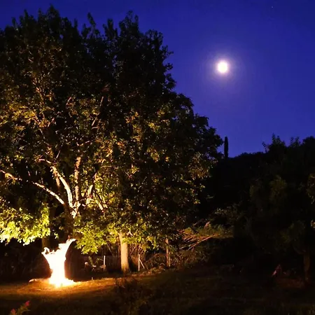 בית נופש A Sense Of Calm & Relaxation