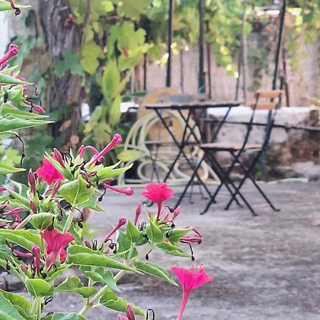 בית נופש A Sense Of Calm & Relaxation Velonádes