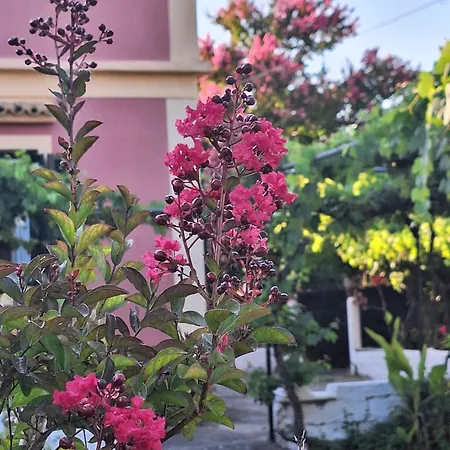 A Sense Of Calm & Relaxation בית נופש Velonádes