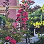 A Sense Of Calm & Relaxation Holiday home Velonades (Corfu)