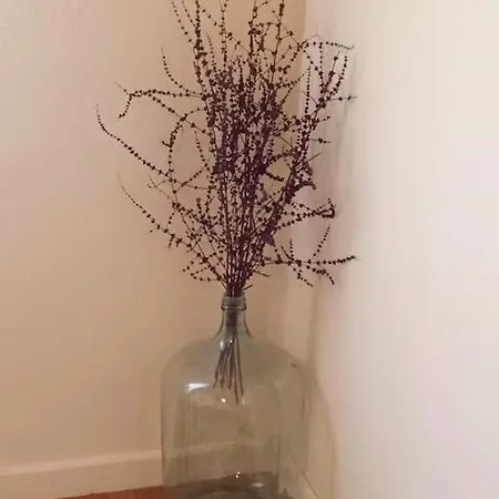 בית נופש A Sense Of Calm & Relaxation *