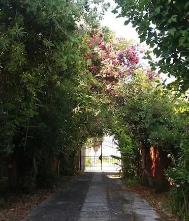 A Sense Of Calm & Relaxation בית נופש Velonádes